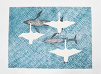 ASHEVAK Anago - Spring Migration