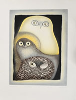 TEEVEE Ningeokuluk - Owls in moonlight