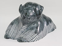 PAPIGATOK Markoosie - Boeuf musqué