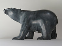 ADLA Ashevak - Ours marchant