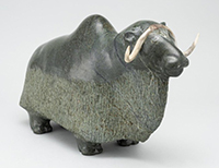 NOWDLUK Lucassie - Boeuf musqué