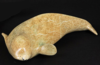 KOLOLA Mosesee - Baleine