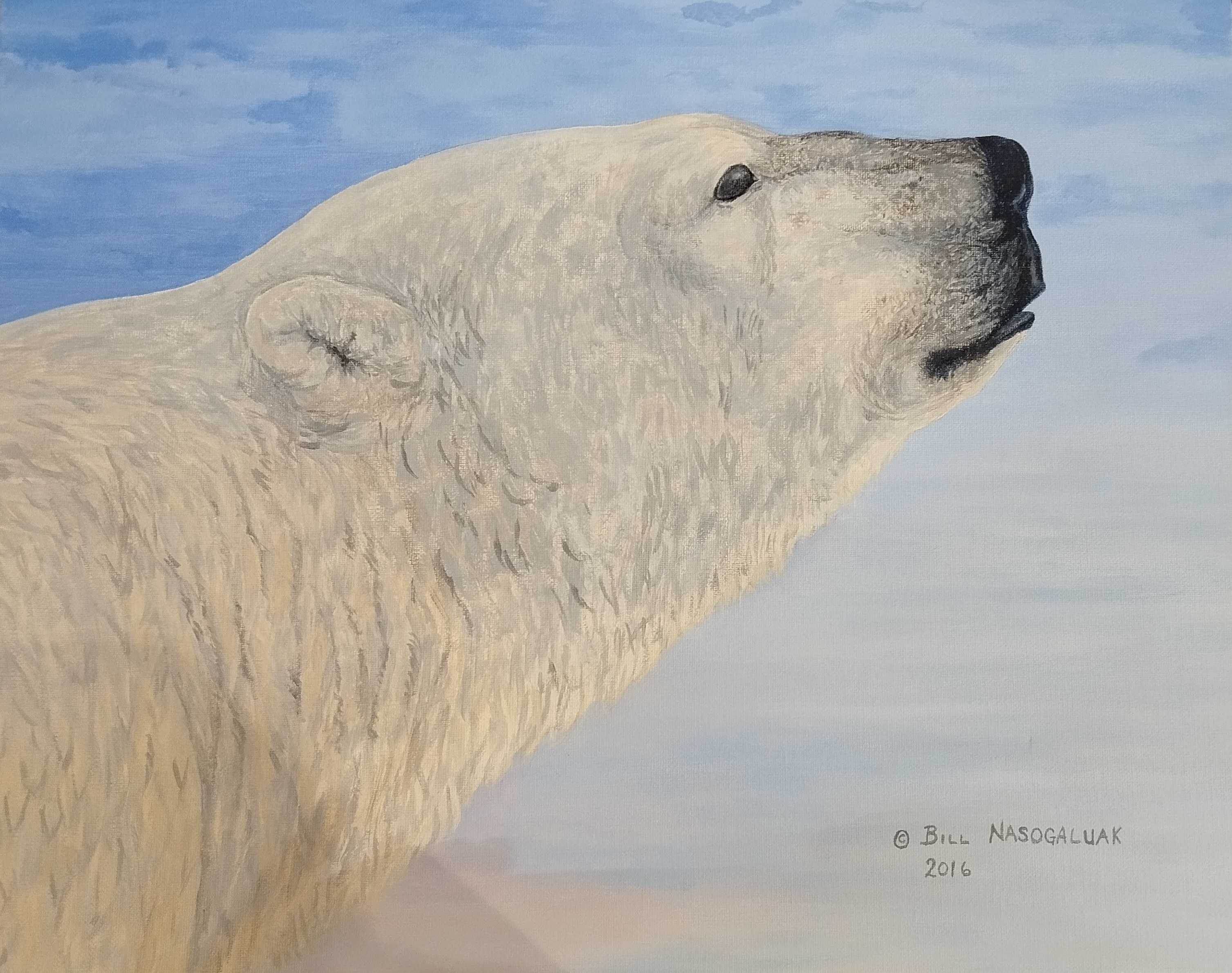 Ours, Bill Nasogaluak, Tuktoyaktuk, 2016 40,5 x 50 cm